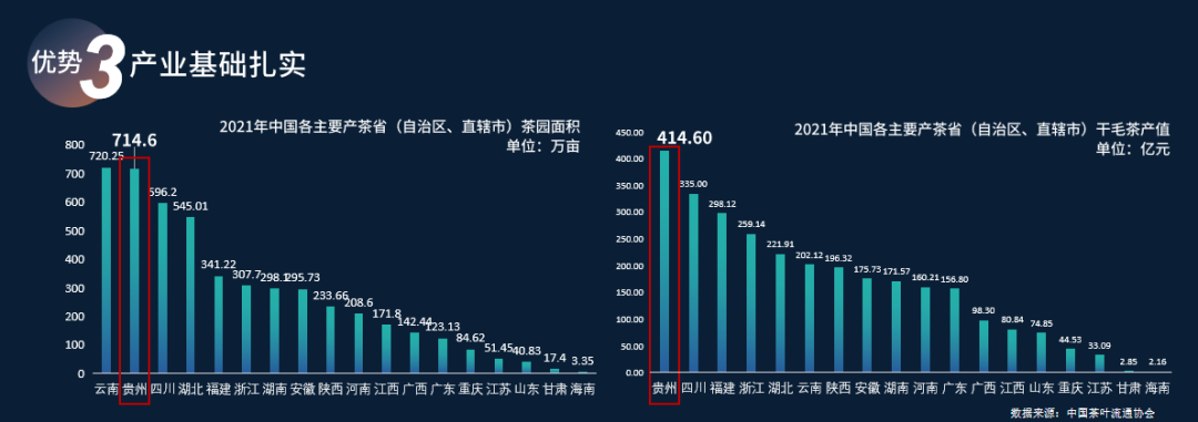 赖晓东：抓住后疫情时代关键节点 洞见贵州茶发展机遇