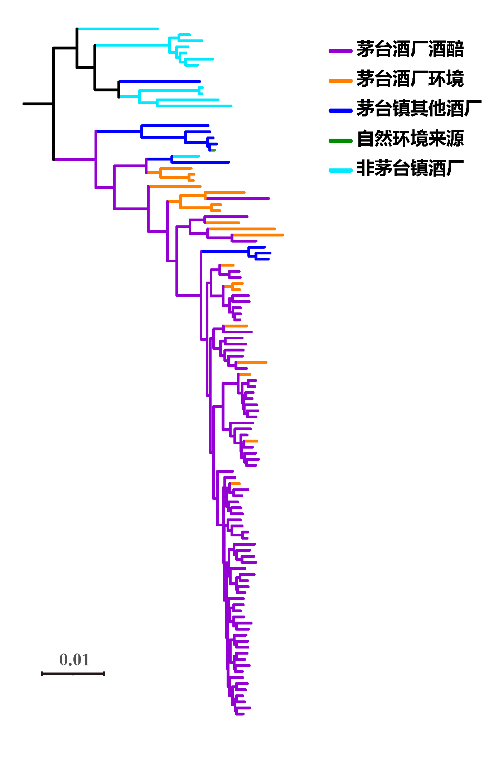 茅台两项科研成果获权威认证