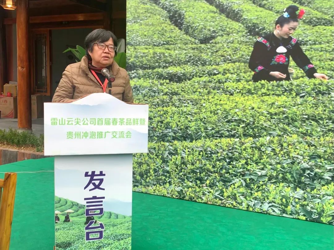 共品春天味道！雷山县举办首届春茶品鲜暨贵州冲泡推广交流会