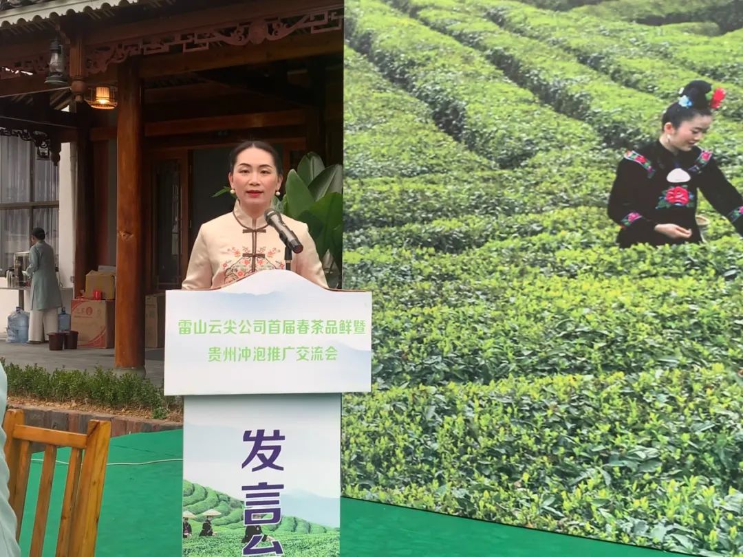 共品春天味道！雷山县举办首届春茶品鲜暨贵州冲泡推广交流会