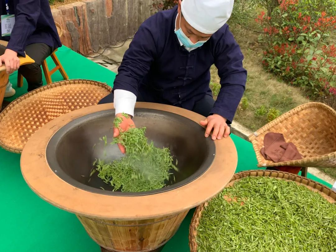 共品春天味道！雷山县举办首届春茶品鲜暨贵州冲泡推广交流会