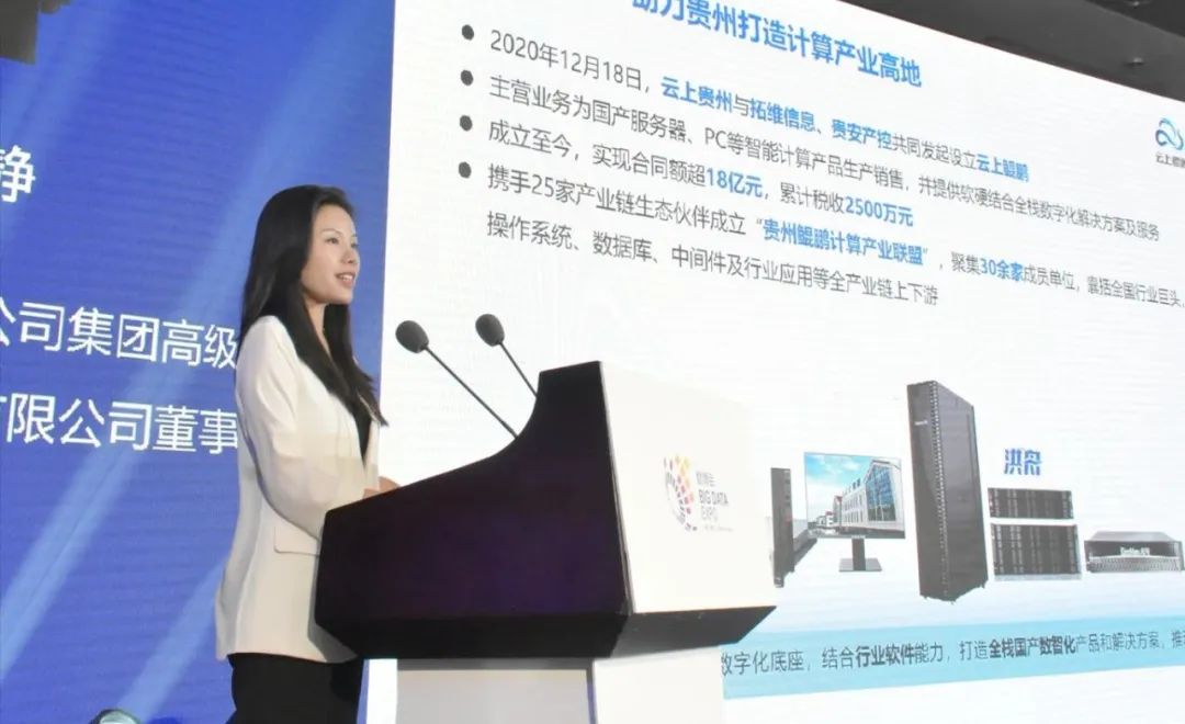 云上鲲鹏董事长向静：鲲鹏展翅 构建区域产业链生态
