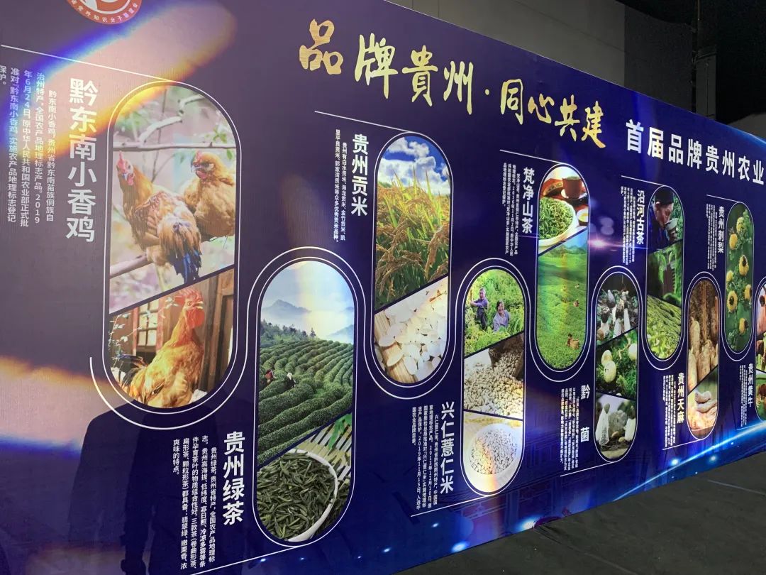 首届品牌贵州农业品牌创意设计大赛系列活动正式启动