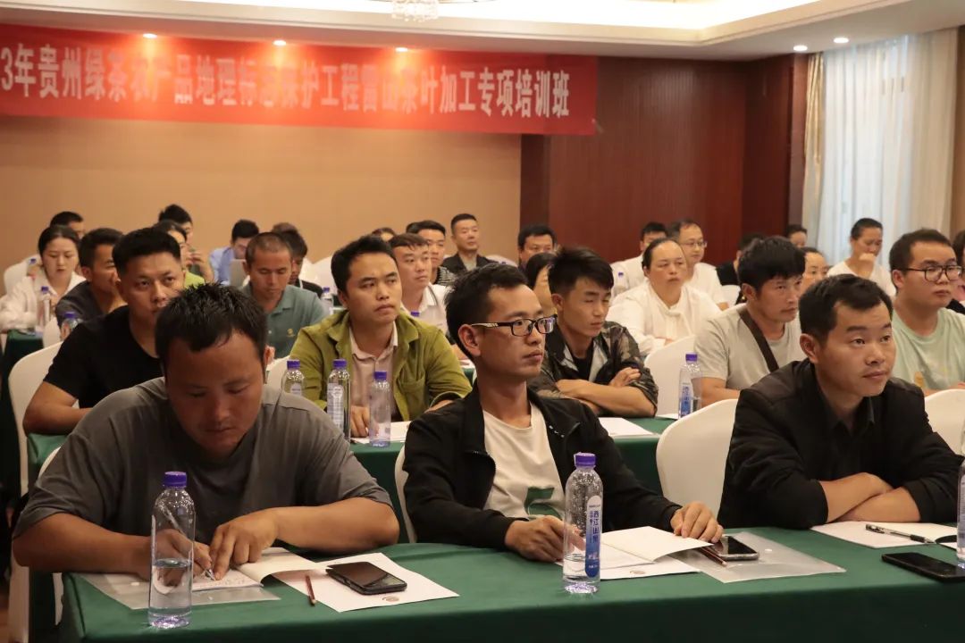 2023年贵州绿茶农产品地理标志保护工程雷山制茶师培训开班