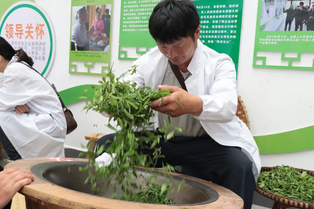 雷山茶叶加工专项培训班走进车间 手把手传授高品质绿茶加工诀窍
