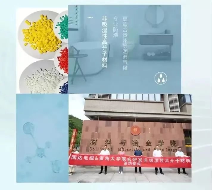 安顺学院师生赴固达电缆集团参观学习
