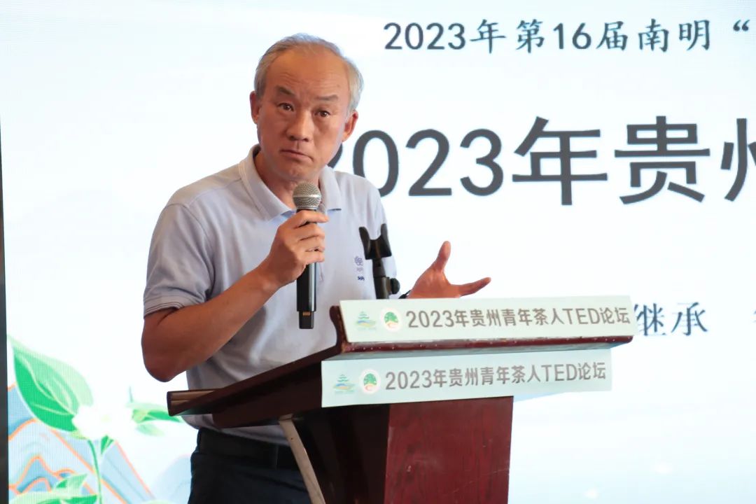 胡继承：茶叶“回家”，是我们的新赛道