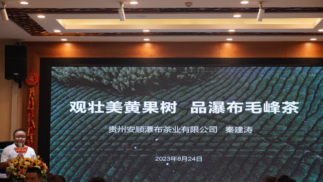观壮美黄果树 品生态安顺红丨安顺市茶产业高质量发展品鉴会在广州成功举办
