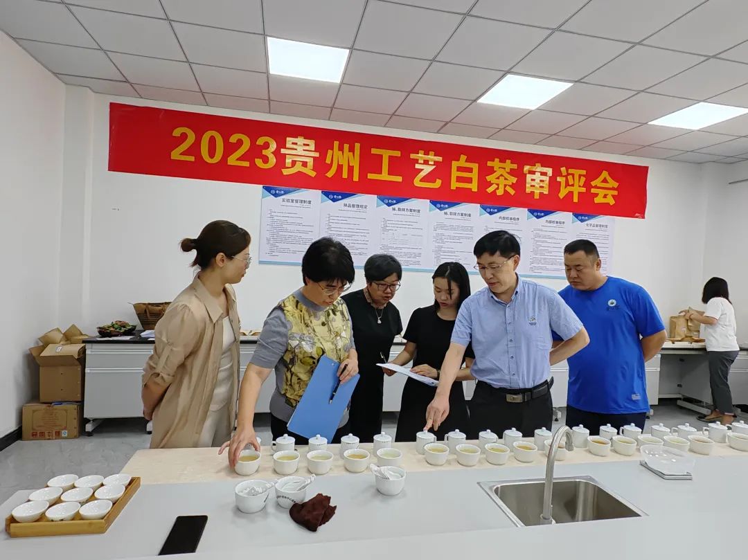 整合资源，凝聚力量——贵州省茶文化研究会白茶专业委员会成立