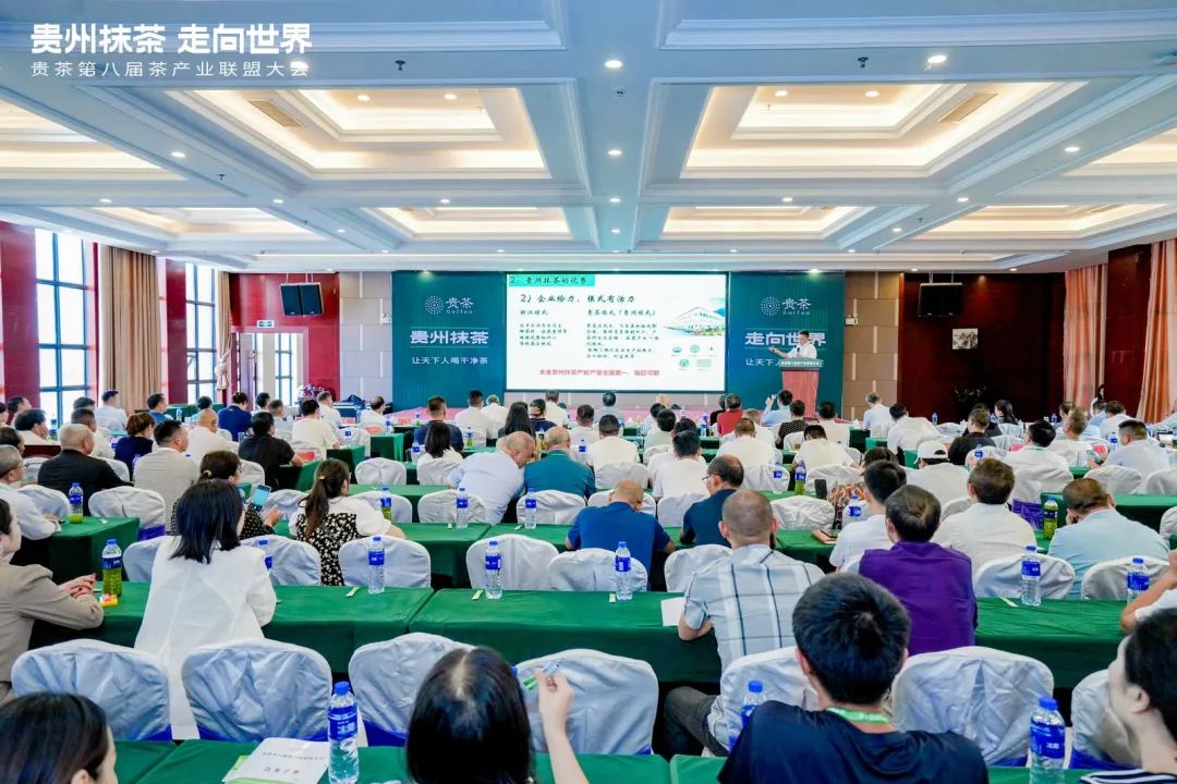 傅传耀:“三问”贵州抹茶如何走向世界