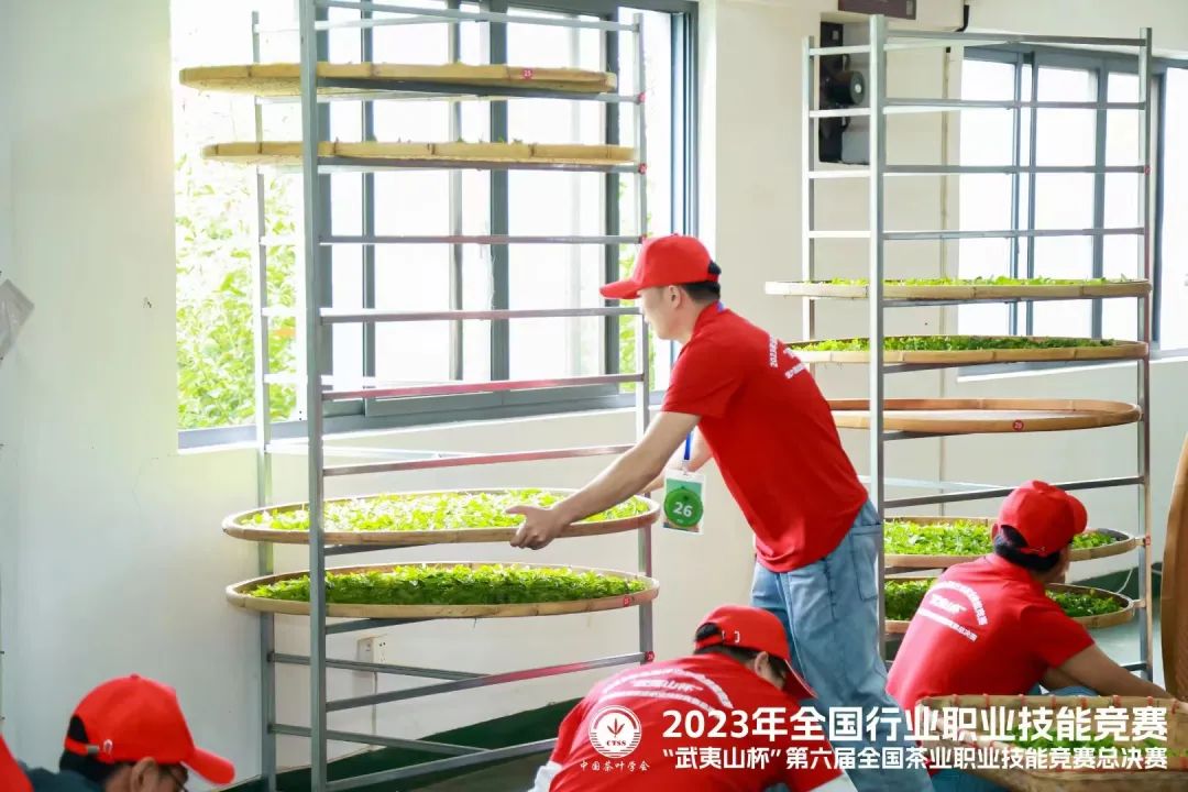 4铜1优！贵州选手在第六届全国茶业职业技能竞赛总决赛中喜获佳绩