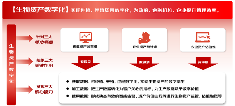 首创AI数蛋技术，京东生物资产数字化平台强化蛋禽品类监管能力