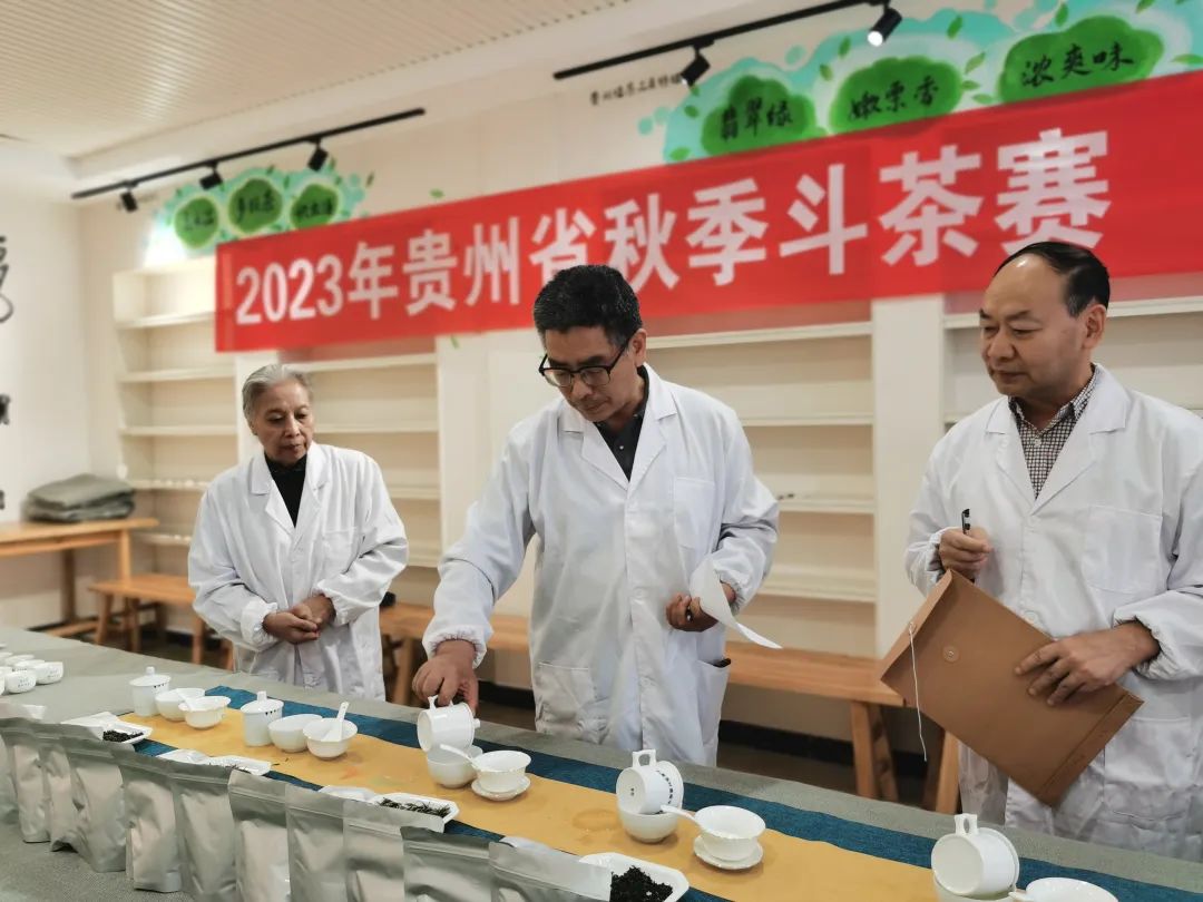 范围更广、品质更高！2023年贵州省秋季斗茶赛省外分赛场圆满收官