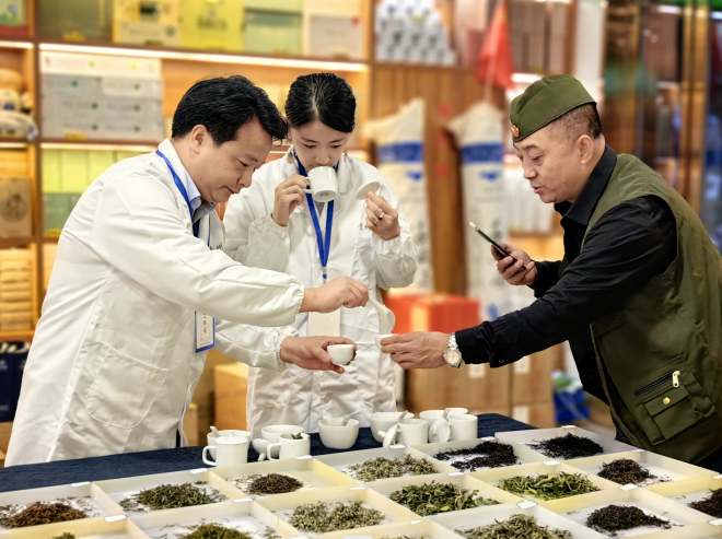 范围更广、品质更高！2023年贵州省秋季斗茶赛省外分赛场圆满收官