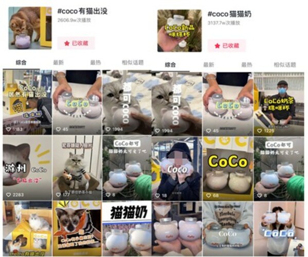 萌宠经济怎么玩？"CoCo有猫出没"强势吸粉