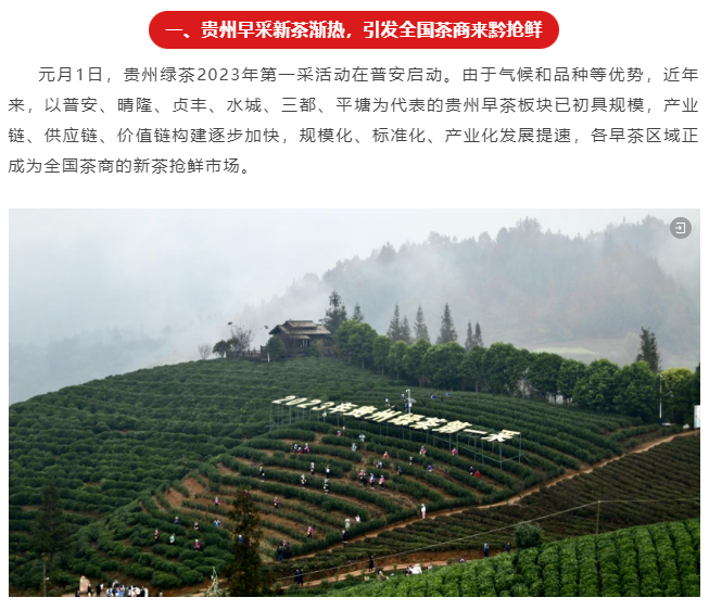 2023贵州茶行业十大新闻发布