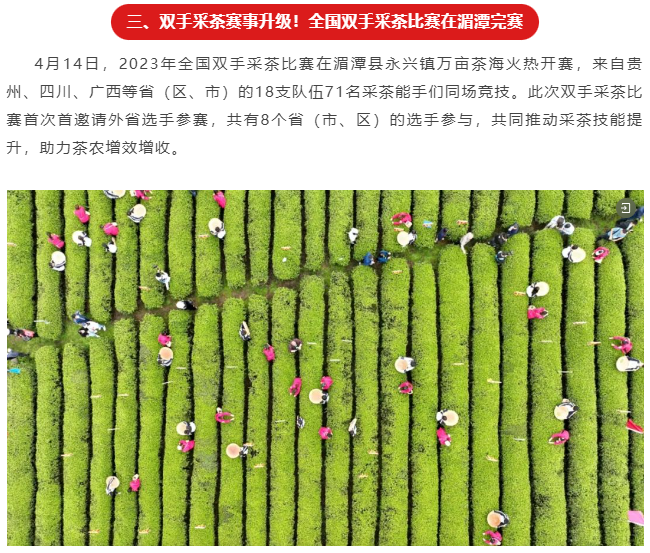2023贵州茶行业十大新闻发布