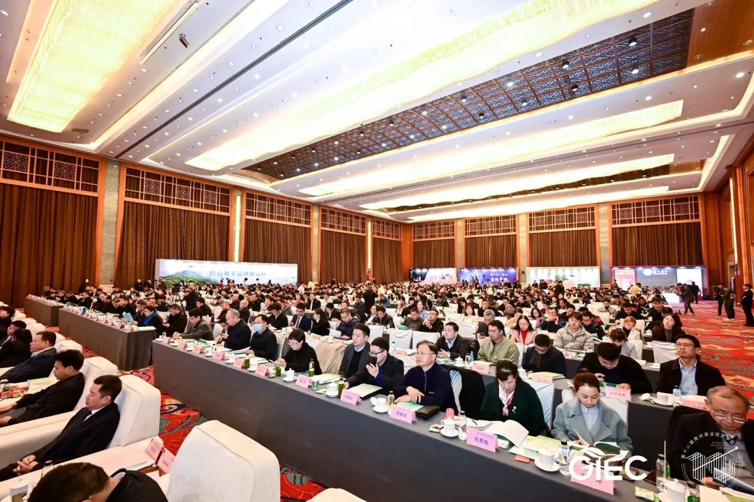 中国（贵州）茶酒产业融合发展高峰论坛暨企业家峰会今日在贵阳召开