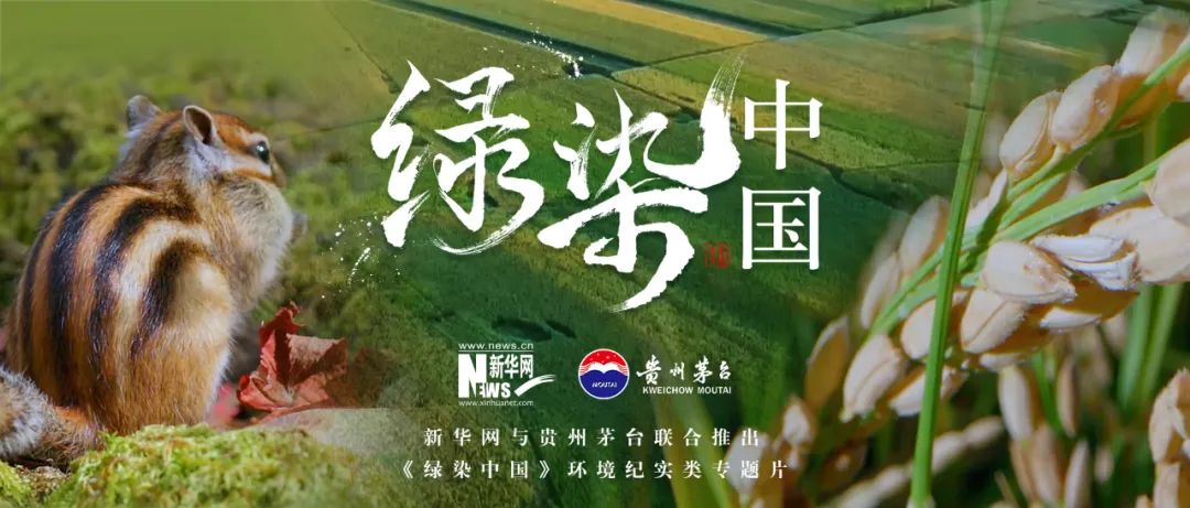 壮哉大美中国！贵州茅台独家冠名大型环境纪实类专题片《绿染中国》正在热播