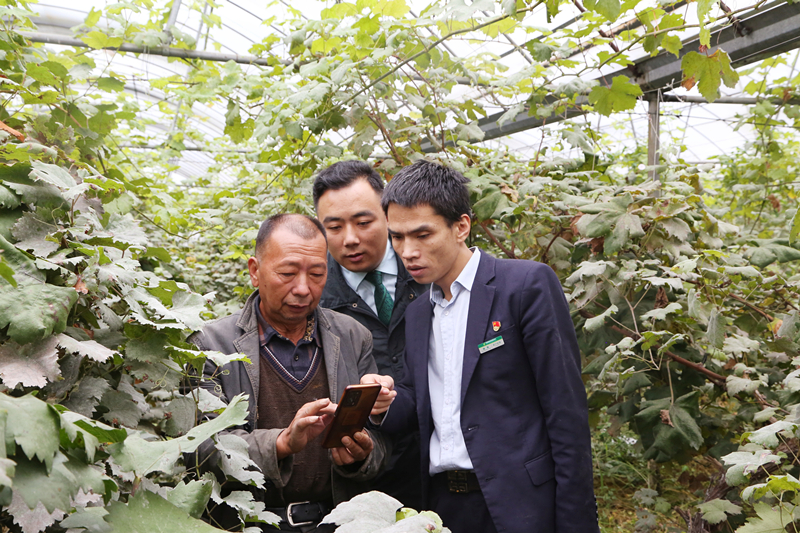 邮储银行毕节市分行：履职尽责抓服务 凝心聚力促发展