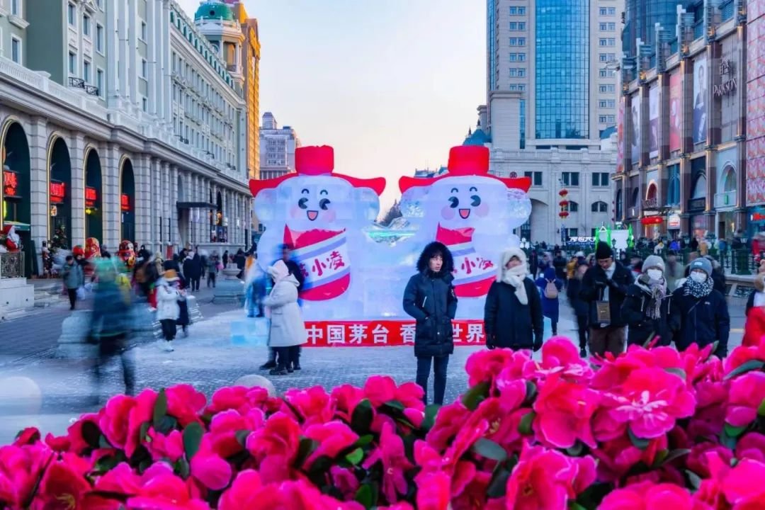 这个春节，去找“尔滨”邂逅茅小凌