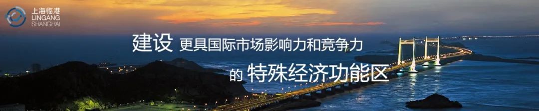 关于开展2024年度“白玉兰纪念奖”临港新片区推荐申报工作的通知