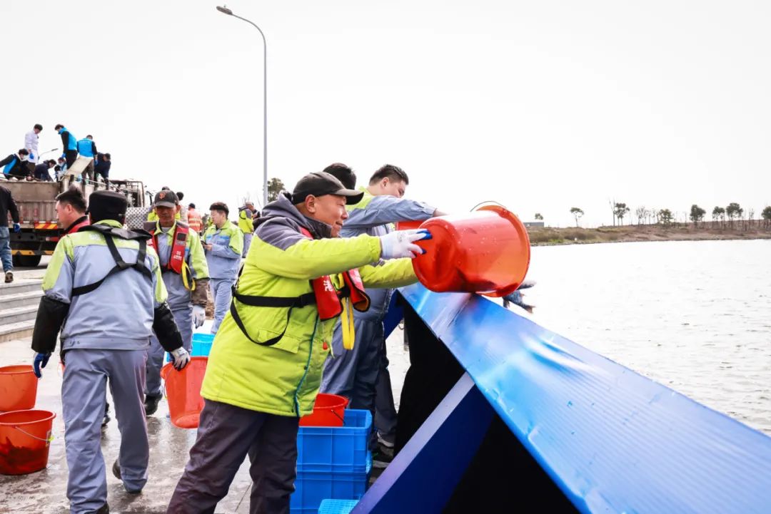 保护水系、提升韧性，2024年新片区增殖放流活动在滴水湖畔举行