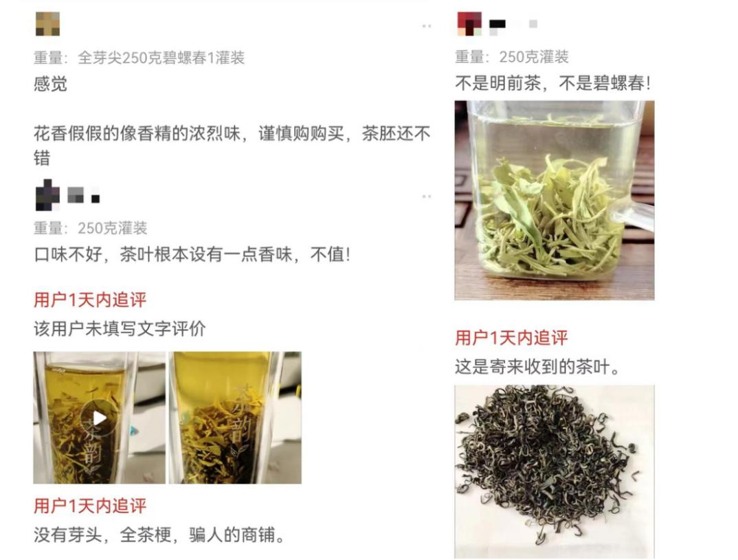 洞庭山碧螺春首批春茶上市：电商首次公开进货价 破行业乱象 产量约105吨