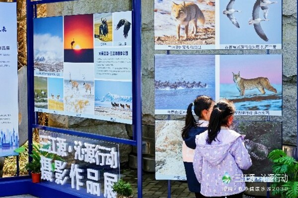 2024三江源•沁源行动启动仪式在沪举行