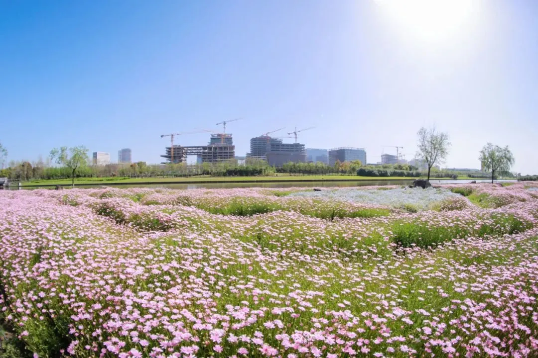 “花‘漾’年轻城 2024上海（国际）花展”临港主会场盛大开幕