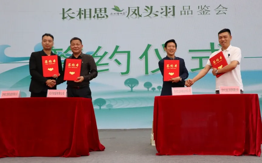 中国锌硒茶城开市庆典和“长相思·凤头羽”品鉴会在凤冈举行
