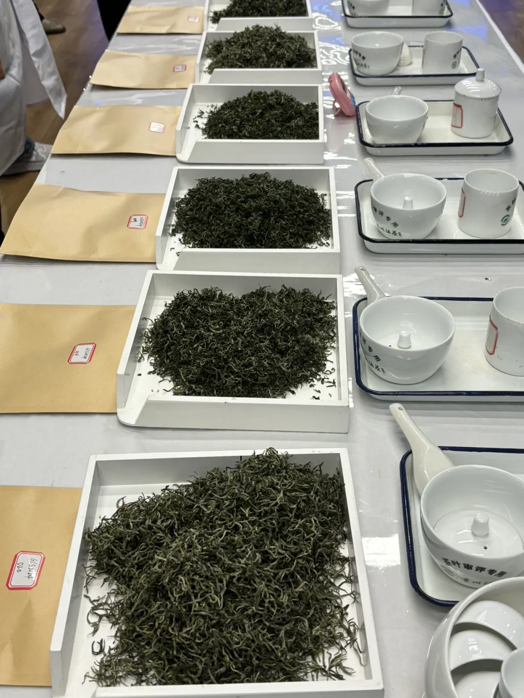 2024年“贵州绿茶”产品质量评价活动审评会在贵阳举行