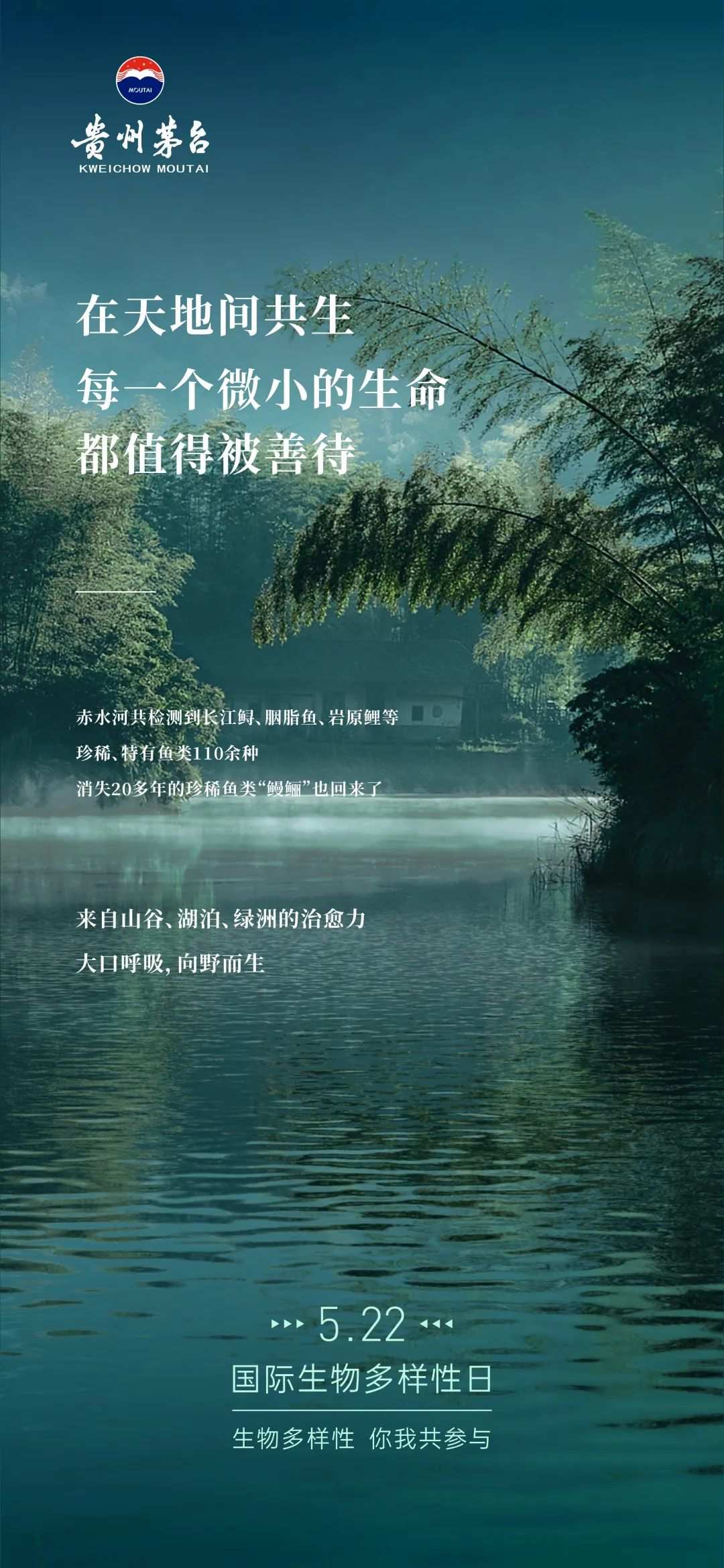 生物多样性在茅台：赤水河523公里折射出的美酒秘境