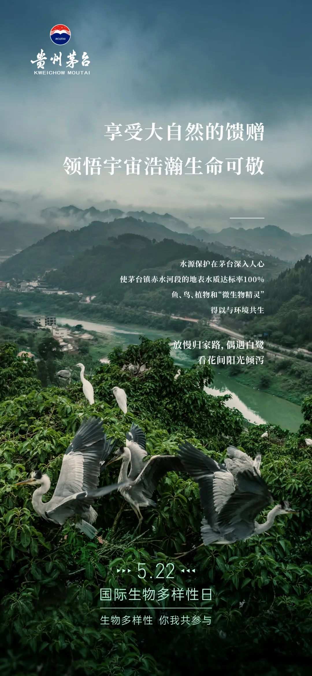 生物多样性在茅台：赤水河523公里折射出的美酒秘境
