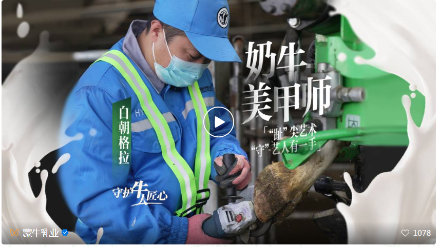 奶牛美甲师，“守”艺人有一手 | 守护牛人匠心