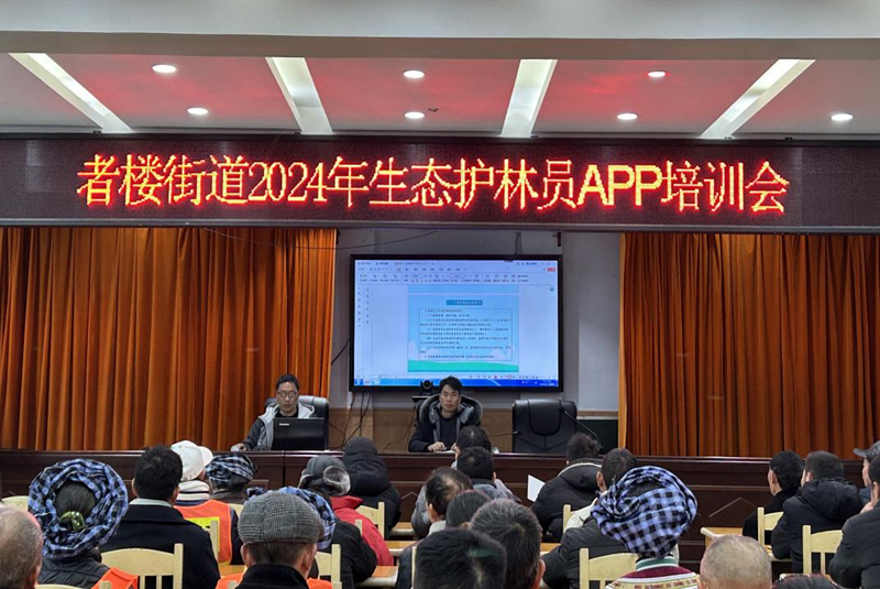 册亨林产技工——林业产业高质量发展的坚实后盾