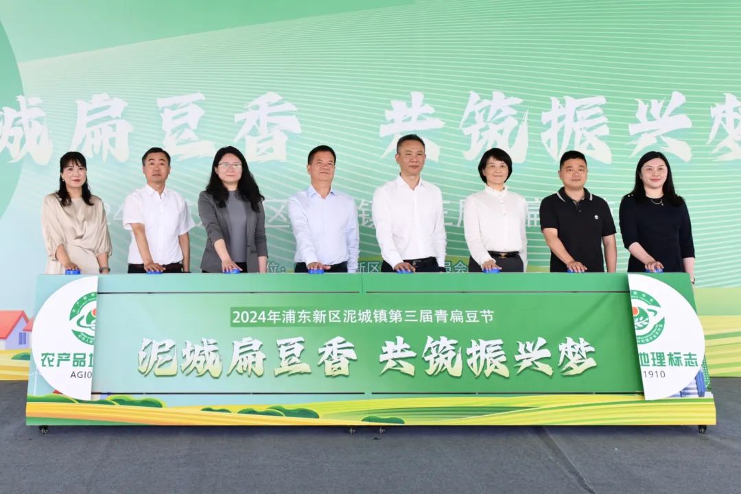 全面推进乡村振兴，泥城镇第三届青扁豆节启动