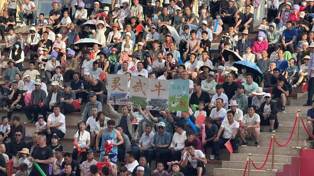 “村BA”冠军出炉，队名亮了