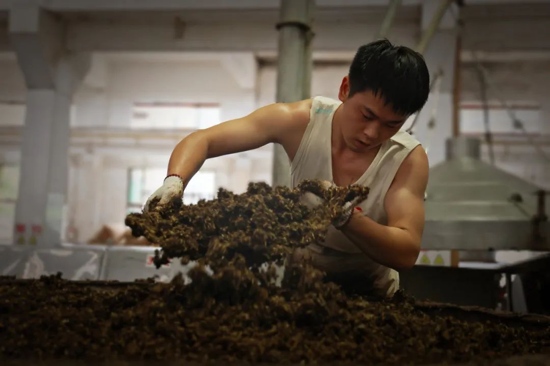 茅台酒“黄金轮次”圆满收官