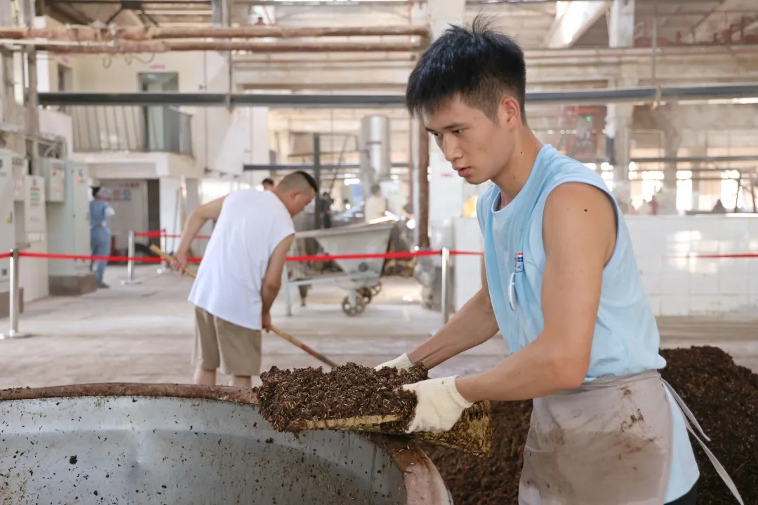 第二届全国装甑（上甑）摘酒职业技能竞赛圆满闭幕 茅台再获佳绩