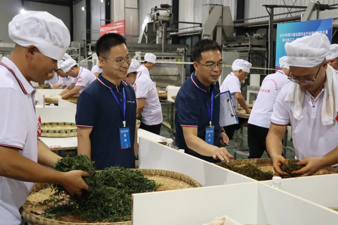 2024年第六届全国农业行业职业技能大赛茶叶加工工（精制）赛项贵州选拔赛圆满结束