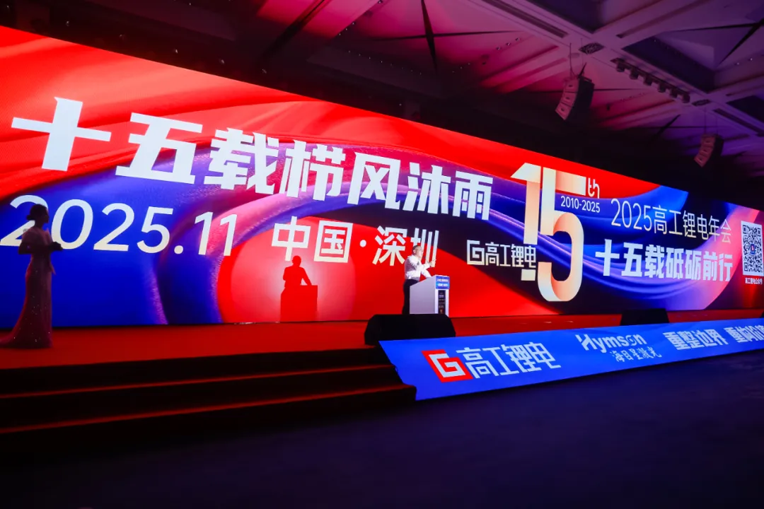 临港新片区赴高工锂电年会专题推介