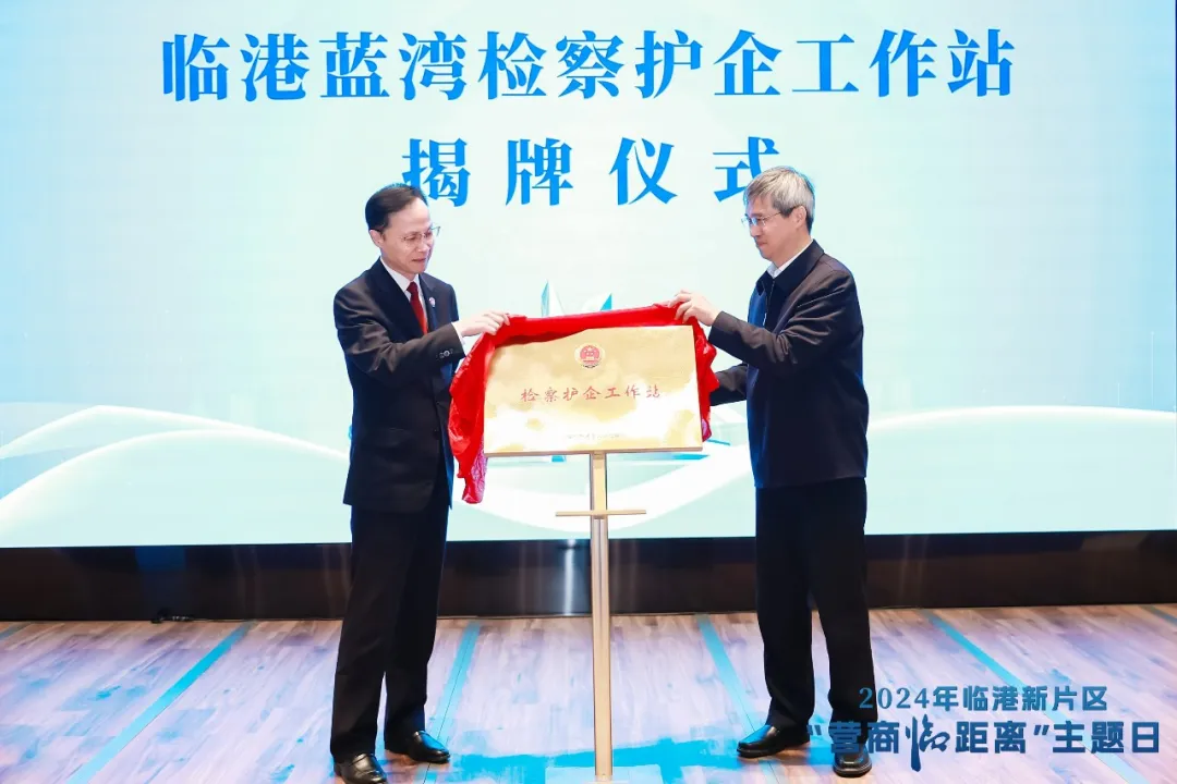 临港新片区“营商临距离”营商环境主题日系列活动顺利举办