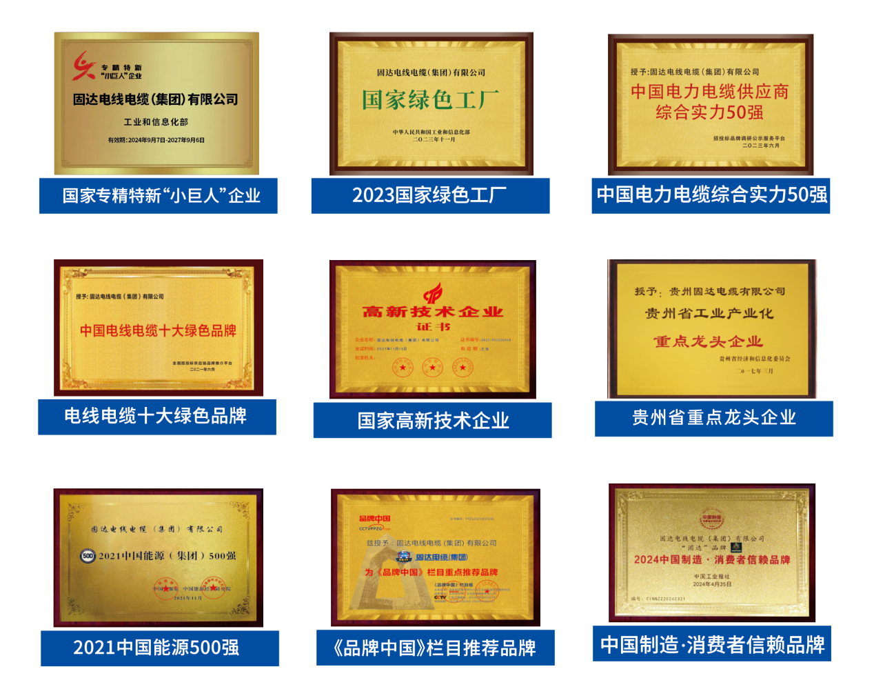 祝贺！固达电缆集团连续八届蝉联贵州双百强企业，执行总裁李浩杰连续五届荣膺贵州省优秀企业家