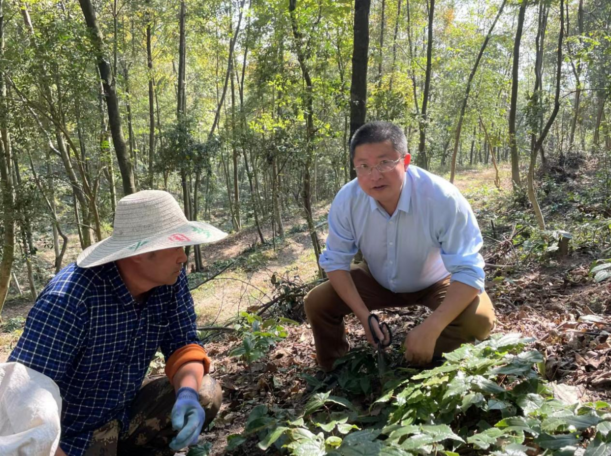 创业之星汪永平：深耕医药领域 打造淫羊藿全产业链