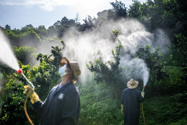 载誉而归 | 雅苒中国荣膺双项大奖