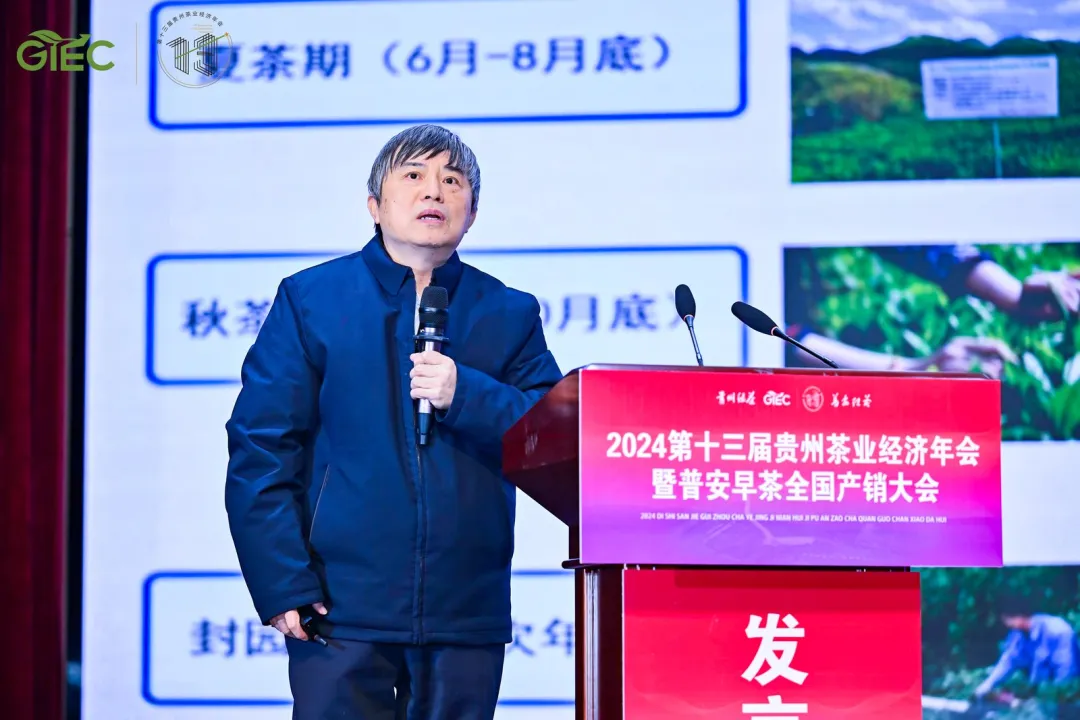 2024第十三届贵州茶业经济年会暨普安早茶全国产销大会在普安开幕