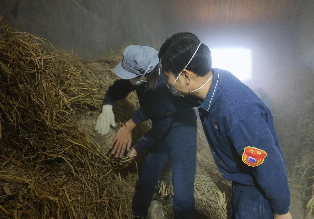 【致匠心·师徒情】沈琦现&罗丽：师徒匠心求索 茅台薪火相传