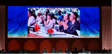 梅宇：久久为功，共同努力做好中国茶产业这篇大文章