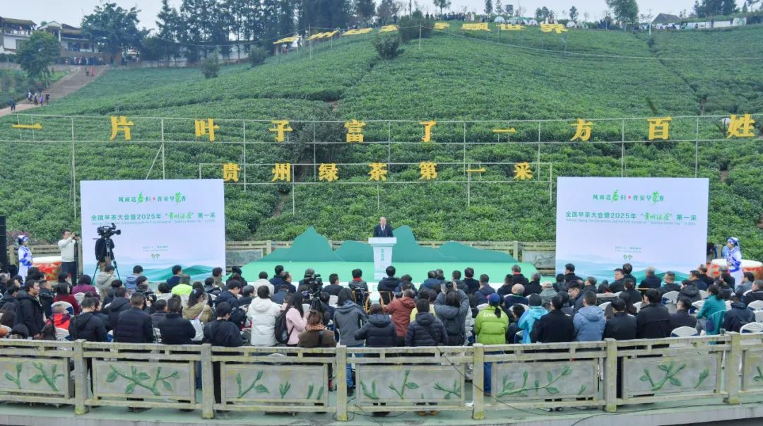 好消息！2025贵州早春茶交易中心开市啦